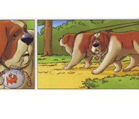 81125_stbernard.jpg