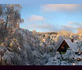 90306_paysagesdeneige.jpg