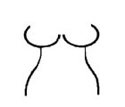 dessin