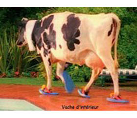 la_vache