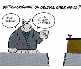 pensees_du_chat