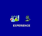 experiences
