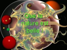 81212_oiseaux.jpg