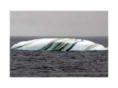 Icebergs.jpg