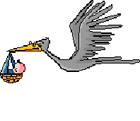 cigogne