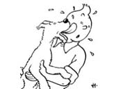 70331_Ami_Tintin.jpg