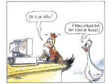 60530_grippe_aviaire.jpg