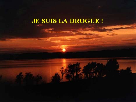 60920_la_drogue.jpg