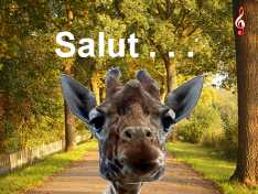 Un-petit-coucou