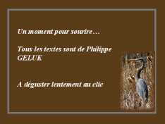 90420_Oiseaux-Geluck.jpg