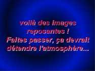 90104_baleines.jpg