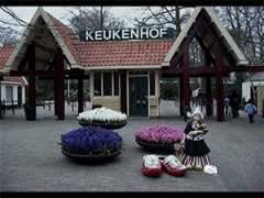 90119_keukenhof.jpg