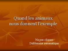90123_bambi_jeannotlapin.jpg