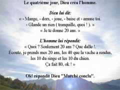 90126_vie_de_l_homme.jpg