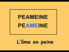 90208_le_jeu_dingbats.jpg