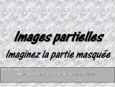 90214_image_partielle.jpg