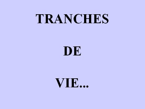 Tranches de vie02.jpg