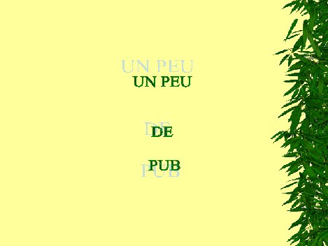 unpeudetout05.jpg