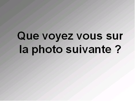unpeudetout07.jpg