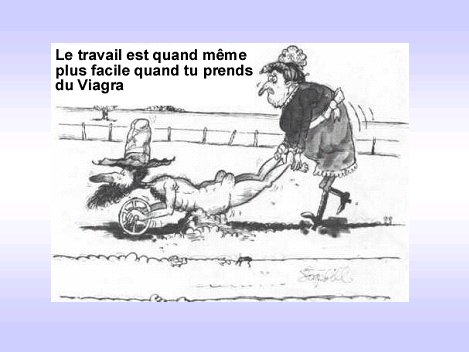 unpeudetout22.jpg
