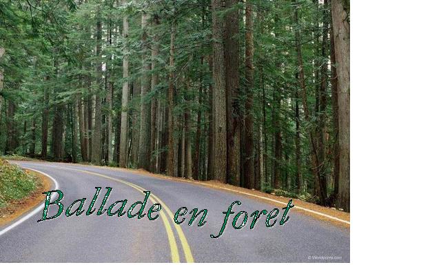 ballade_en_foret.jpg
