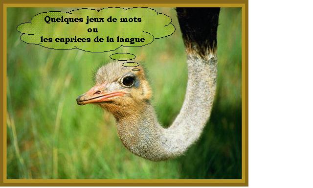 jeux_de_mots.jpg
