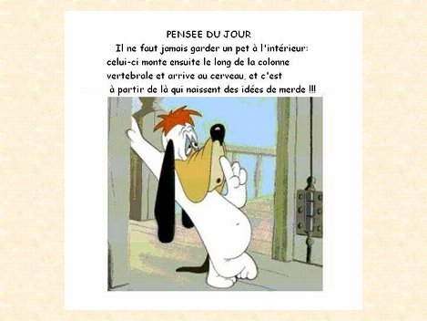 unpeudetout51007