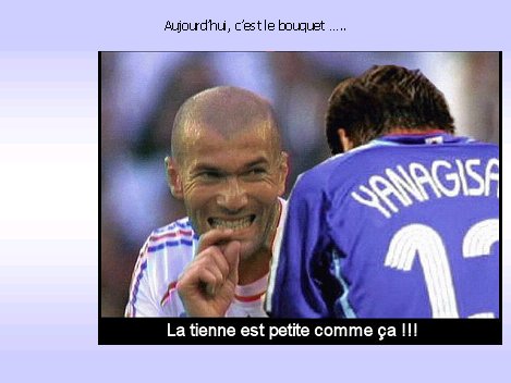 unpeudetout