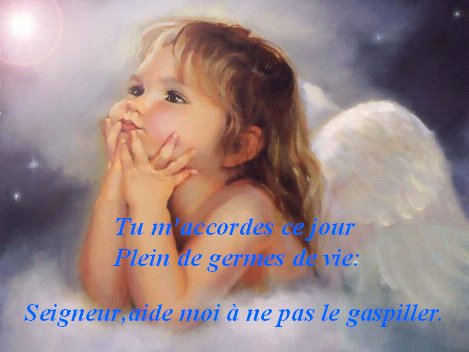 unpeudetout