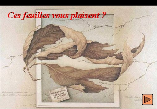 unpeudetout