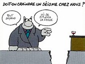 Le chat