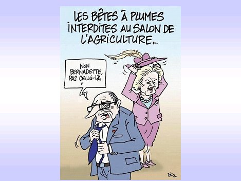 unpeudetout