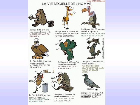 unpeudetout