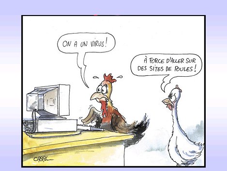 unpeudetout