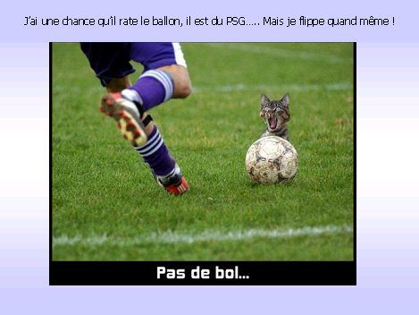 unpeudetout60424.jpg