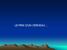 Prix du cerveau
