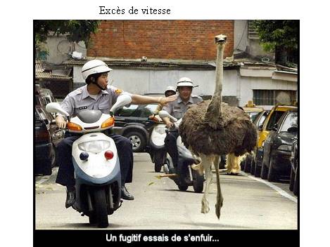 unpeudetout