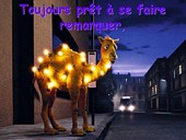 Chameau