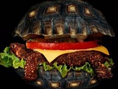 Faim