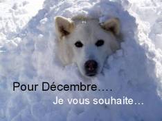 71200_Voeux.jpg