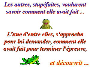 71223_grenouilles.jpg