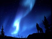 Belles images