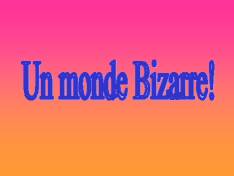 80100_mondebizarre