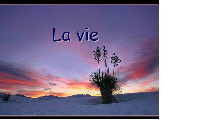 Merveilles