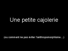 Petite_cajolerie