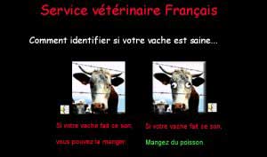 veterinaire