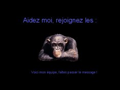 81008_loulous.jpg