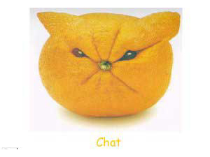 fruits.jpg