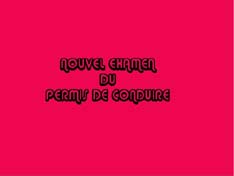 permis_de_conduire.jpg