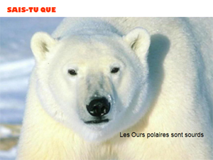 savais_tu_que.jpg
